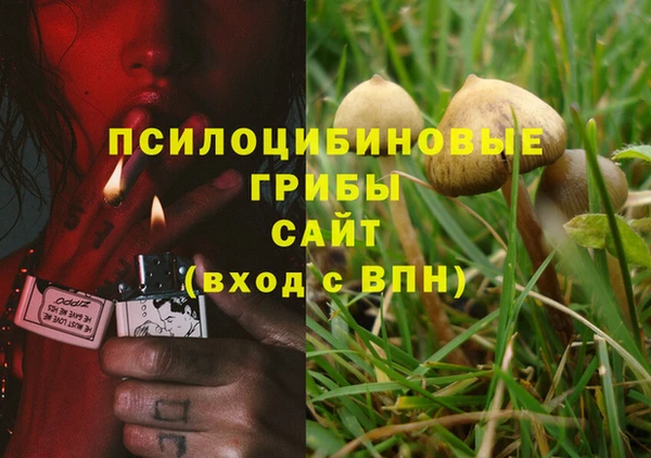 соль курить ск Алексеевка