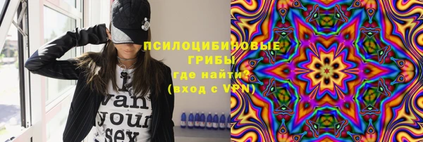 твердый Алзамай
