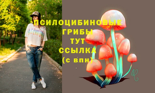 бошки Алексин
